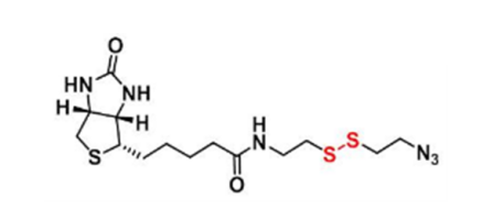 Biotin-SS-azide(图1)