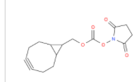 endo-BCN-NHS ester(图1)