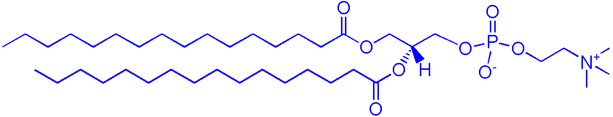 63-89-8，DPPC（1,2-二棕榈酰-sn-甘油-3-磷酰胆碱）