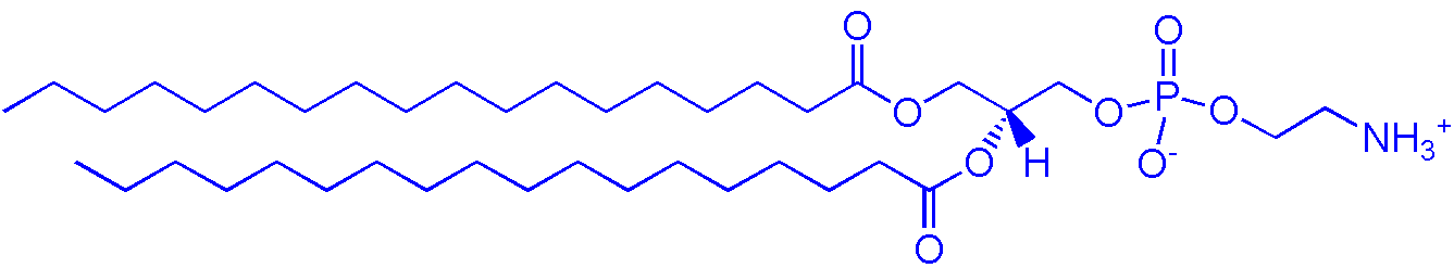 816-94-4，DSPC（1,2-二硬脂酰基-sn-丙三基-3-磷酸胆碱）(图1)