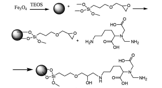 胺化SiO2涂层Fe3O4纳米颗粒（30nm）