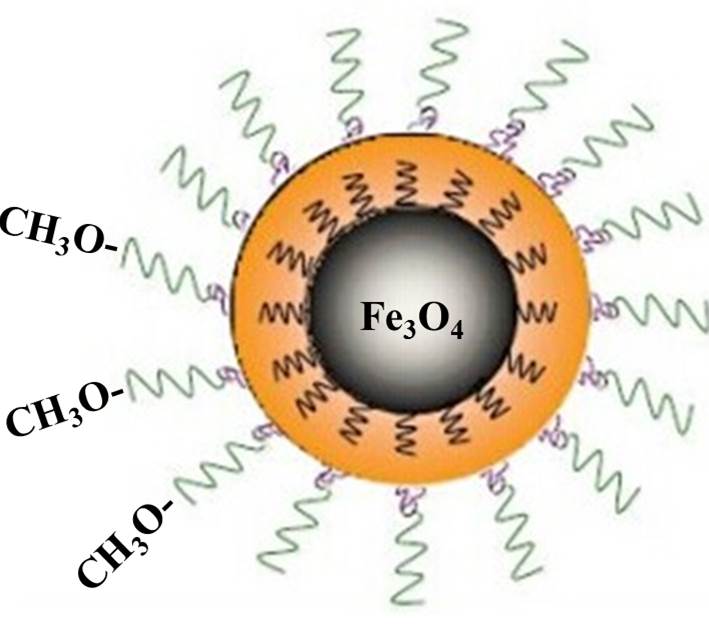 PEG包覆Fe3O4纳米粒子（10nm）